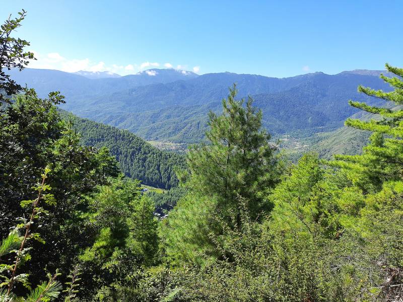Forested ridges and valleys in Bhutan